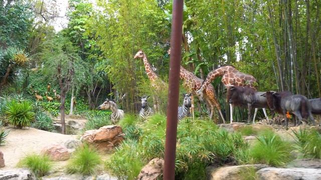 Jungle Cruise 2023 - Disneyland Rides [4K POV] смотреть онлайн