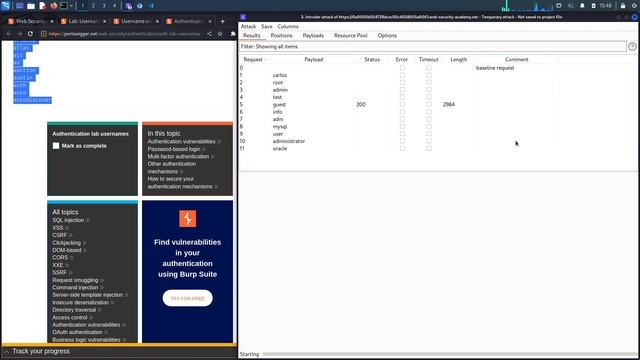 Authentication Vulnerabilities - Lab #1 Username enumeration via different responses | Long Version смотреть онлайн