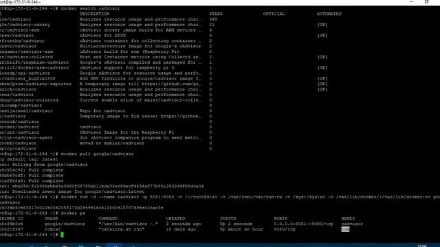 Monitoring a docker container смотреть онлайн