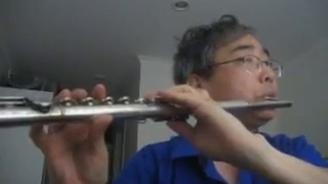 찬송가 Hymn - 246 장 - 내 주의 나라와 - Pearl Nickel Flute смотреть онлайн