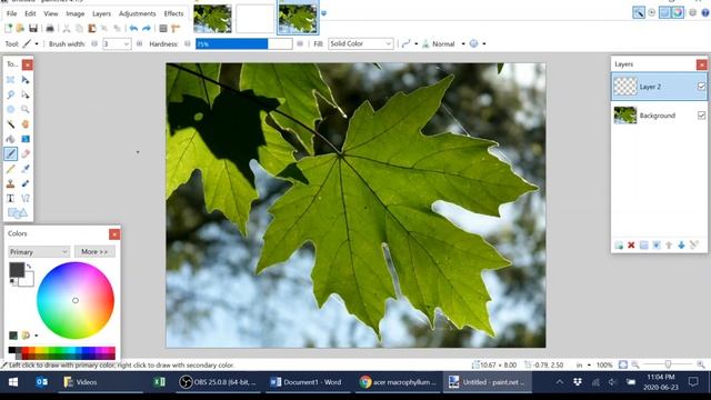 Tracing with Paint.net смотреть онлайн