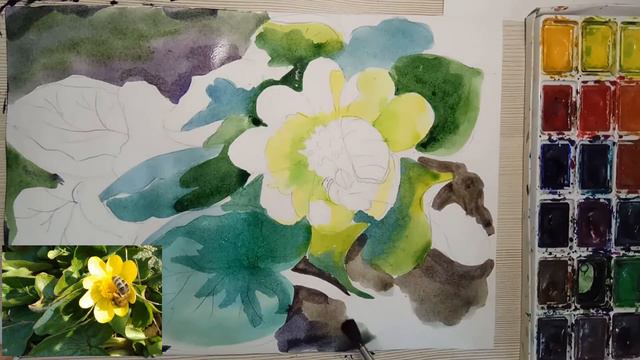 Чистяк - весенний первоцвет. Акварель. смотреть онлайн