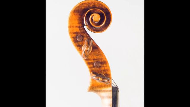 Violin IL Cannone   2017  By  Rumen Spirov -  SOLD