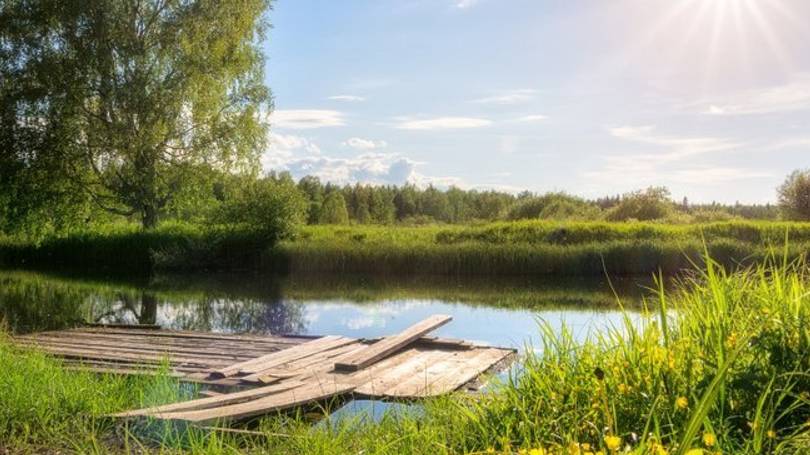 Сияет солнце, воды блещут... Федор Тютчев. смотреть онлайн