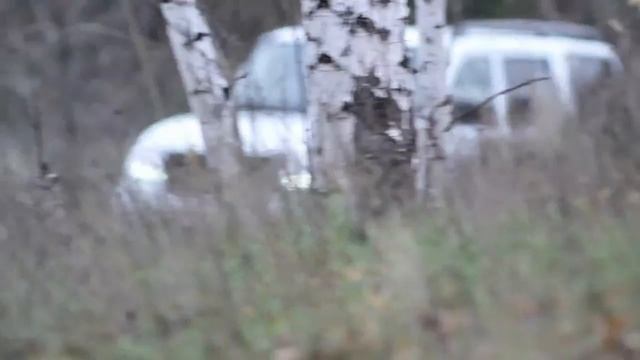 2013 ЗОНА РИСКА ПАТРИОТ смотреть онлайн