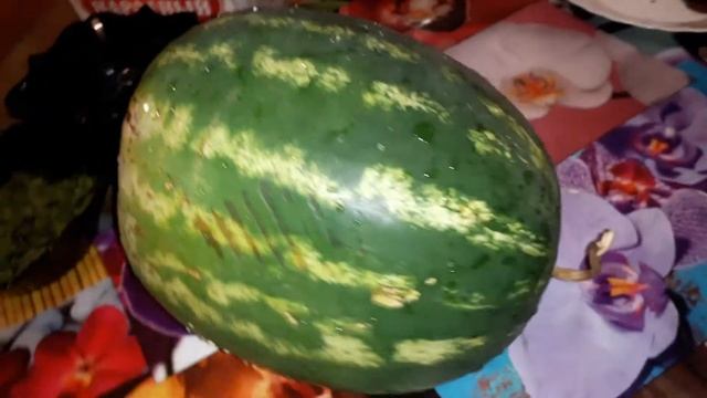 Арбуз купили?мальчик или девочка пытаемся понять с Сашей???????? смотреть онлайн
