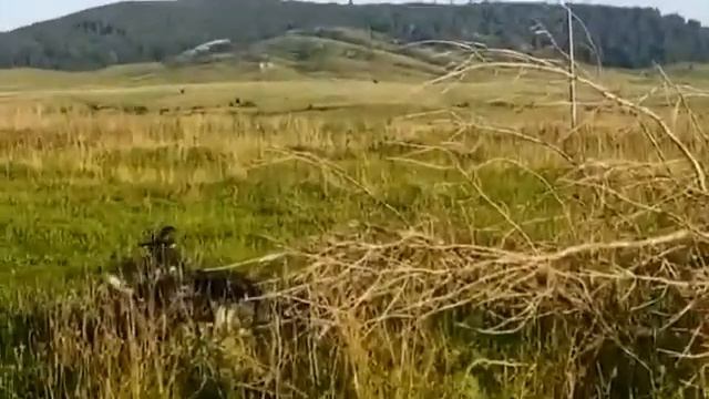 Огород, помидоры, огурцы.Купание в пруду. смотреть онлайн