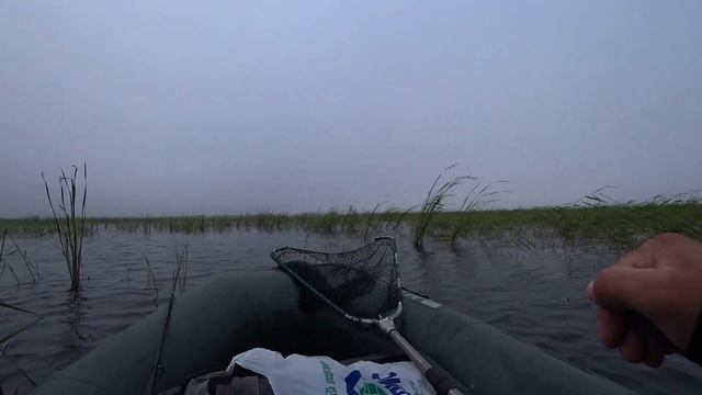 КАМЫШОВЫЙ ДЖИГ. Ловля щуки. Крокодилы озера Барыкуль. смотреть онлайн