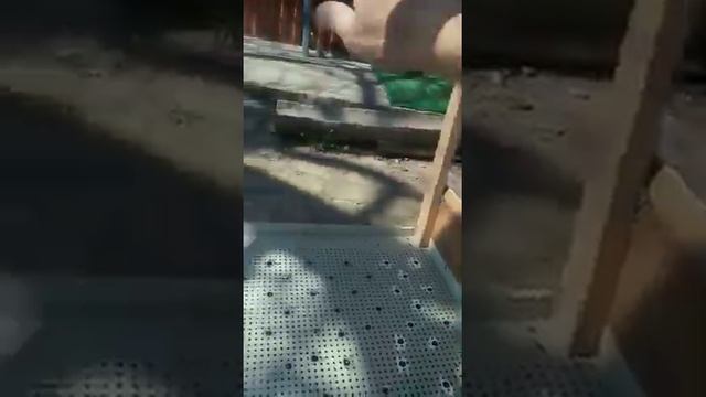 Клетка для цыплят своими руками ч1 смотреть онлайн