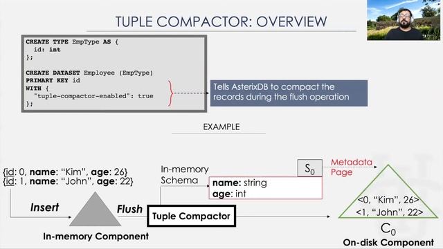 An LSM based Tuple Compaction Framework for Apache AsterixDB by Wail Y. Alkowaileet смотреть онлайн
