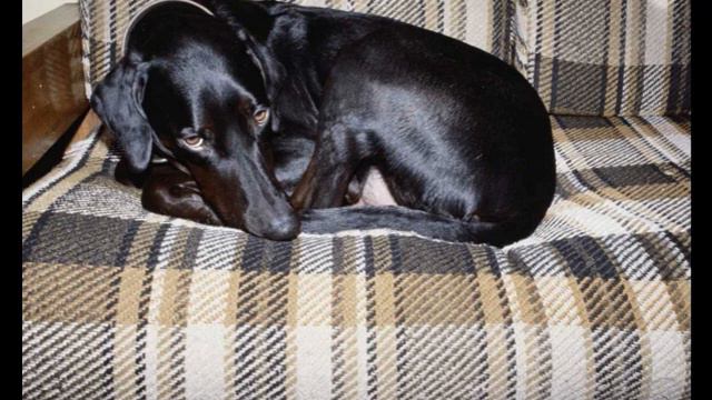 Тазы смотреть онлайн