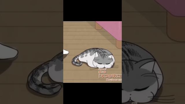 пушистая котлетка 😋 смотреть онлайн