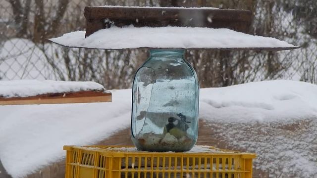 Кормушка из битой банки ... смотреть онлайн