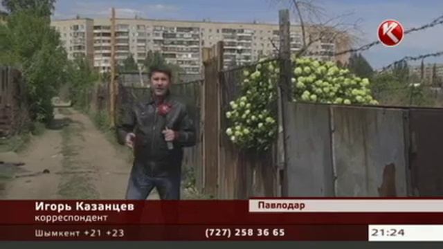 Дома павлодарских дачников решением акимата пойдут под снос смотреть онлайн