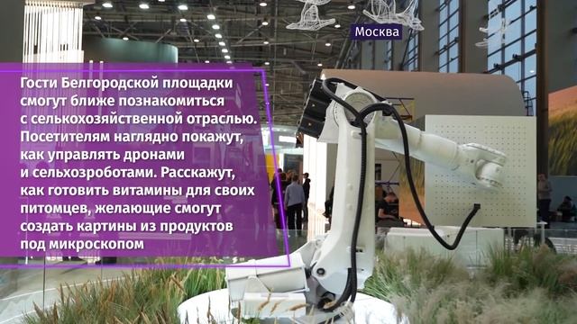 На Белгородском стенде на ВДНХ открыли Дни агропромышленного комплекса региона смотреть онлайн