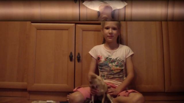 Мой новый питомец Джессика смотреть онлайн