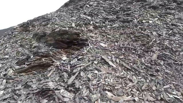 Счастливые люди Верхоянской тайги смотреть онлайн