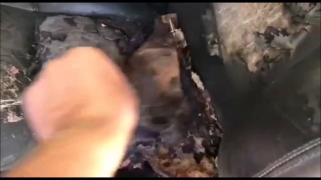 Брошенный  Кабан S600 W140