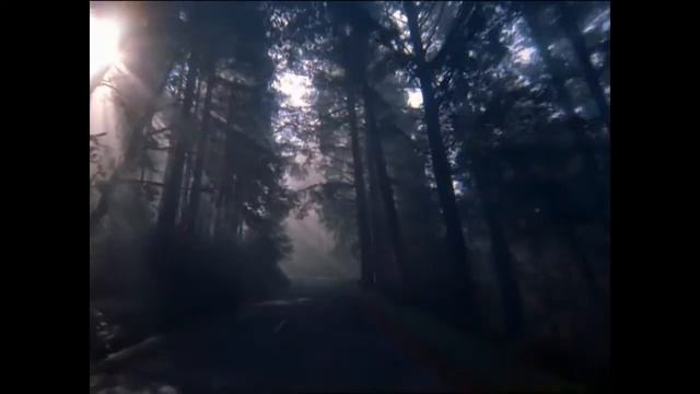 Chris Hinze & Claus Ogerman - Dressed to Kill смотреть онлайн