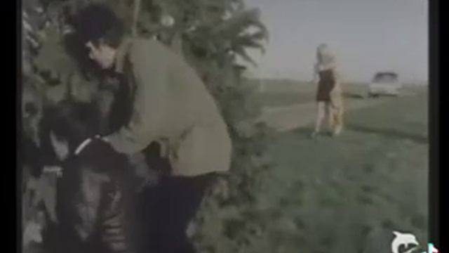 потому что мы банда смотреть онлайн