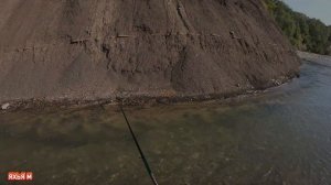 Ловля речного усача на куриное СЕРДЦЕ