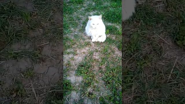 Прекрасное весеннее утро