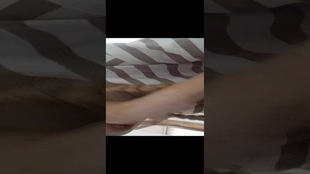 VID_20240816_204619.mp4 смотреть онлайн