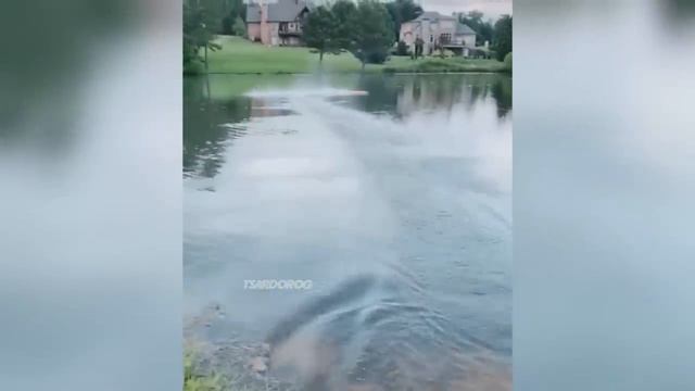 ЛУЧШИЕ АВТО ПРИКОЛЫ 2022_ Я РЖАЛ ДО СЛЕЗ, СМЕШНЫЕ РУССКИЕ АВТО МОМЕНТЫ #50.mp4 смотреть онлайн