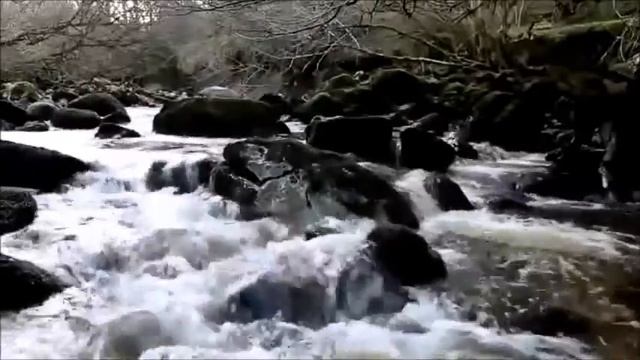 Евангелие от Матфея *Глава 8 смотреть онлайн