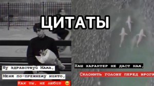 Лучшая подборка Цитаты - Цытаты. #1 | Best selection Quotes.