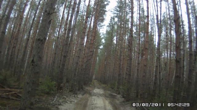 Поиски заброшенной церкви смотреть онлайн