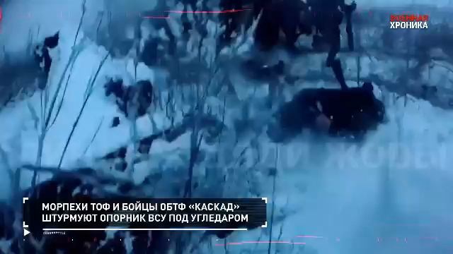 СПЕЦОПЕРАЦИЯ Z 24 декабря 2023 Хроника.Главные события этого дня#россия#донбасс#спецоперация#всу#зсу