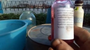 Белорусский фунгицид Превикур.