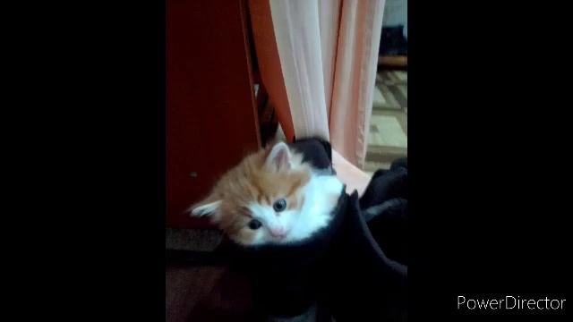 Маленькая жизнь смотреть онлайн