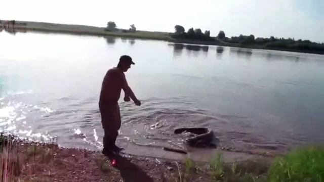 BALIQ OVNI DAXSHATI // БАЛИҚ ОВИ