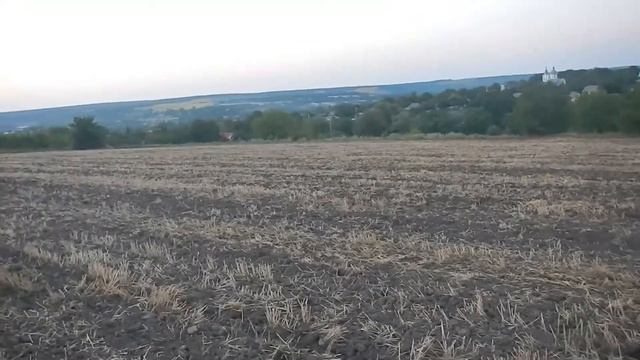 Коп монет. История одного поля. смотреть онлайн