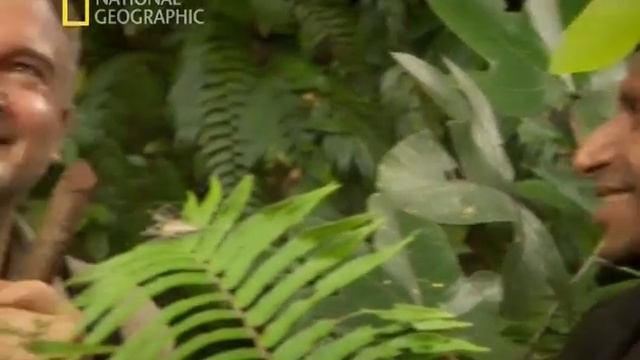 В поисках живых каннибалов смотреть онлайн