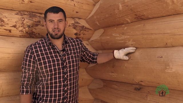 Канадская рубка, saddle notch, баня из дикого бревна смотреть онлайн