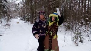 В лесу родилась ёлочка