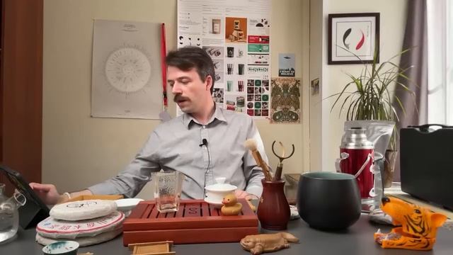 Как выбрать и заварить шэн пуэр, советы от Art of Tea | Дерзкий стрим смотреть онлайн