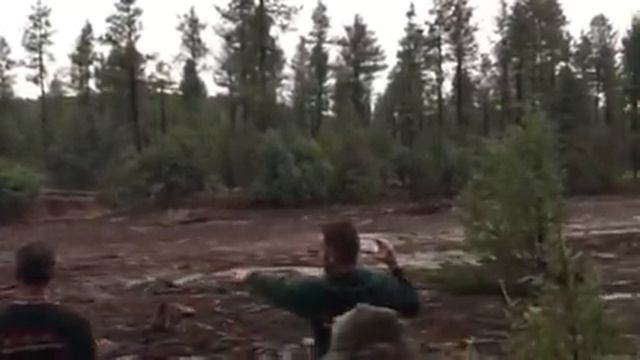 Flash flood 7/15/2017 Payson - Ellison Creek смотреть онлайн