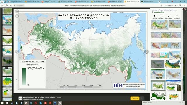 1 Ареалы лесных пород и запасы древесины в России смотреть онлайн