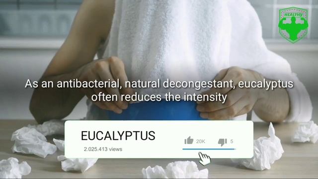 Eucalyptus Leaves Benefits