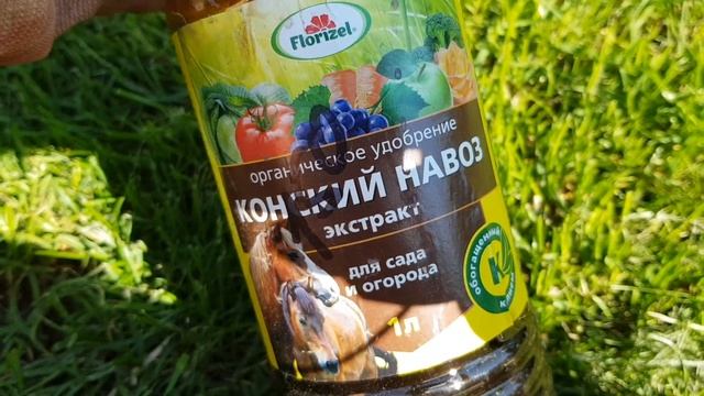 Чем подкормить РОЗЫ ЛЕТОМ после обрезки. ПЫШНОЕ ЦВЕТЕНИЕ ГАРАНТИРОВАННО смотреть онлайн