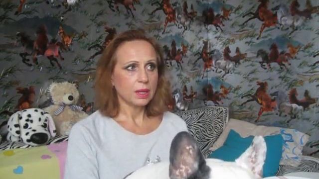 Нашему французскому бульдогу 10 Лет! Сколько лет живут французские бульдоги? смотреть онлайн
