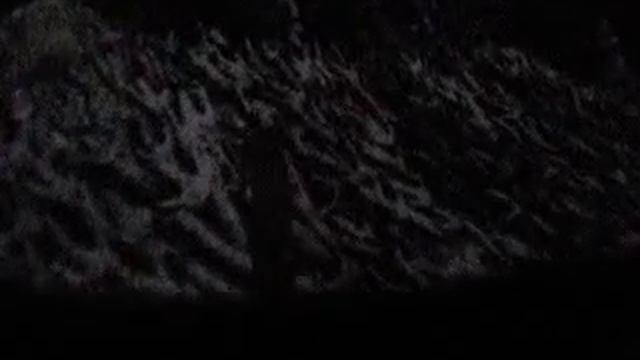 videoplayback101.mp4 смотреть онлайн