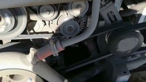 Обзор плюсов и минусов автобуса среднего класса ЛиАЗ 429260