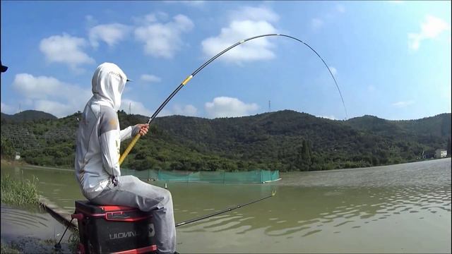 Толстолобик гнет Удочку #клев #рыбалка #поклевка #fishing смотреть онлайн