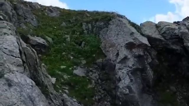 Косолапый мишка юный, на красной поляне. смотреть онлайн