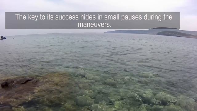 Going Micro For Rock Fishing смотреть онлайн